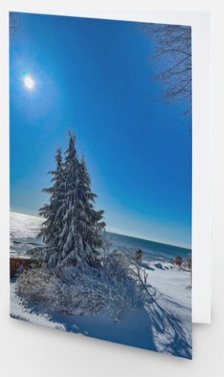 Natures Christmas Tree Notecard