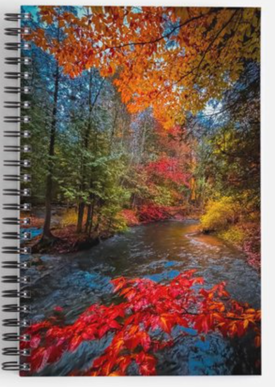 Fall by A River Journal / Notebook