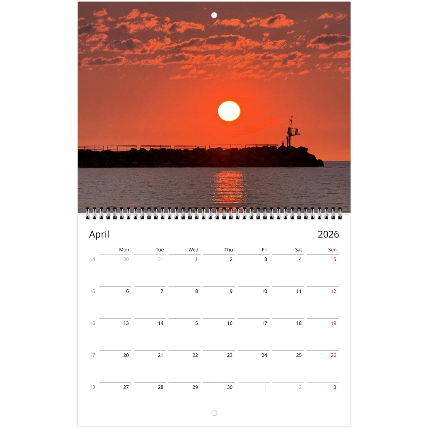 55d4b76a-519b-4707-b3cb-501acee1b73a