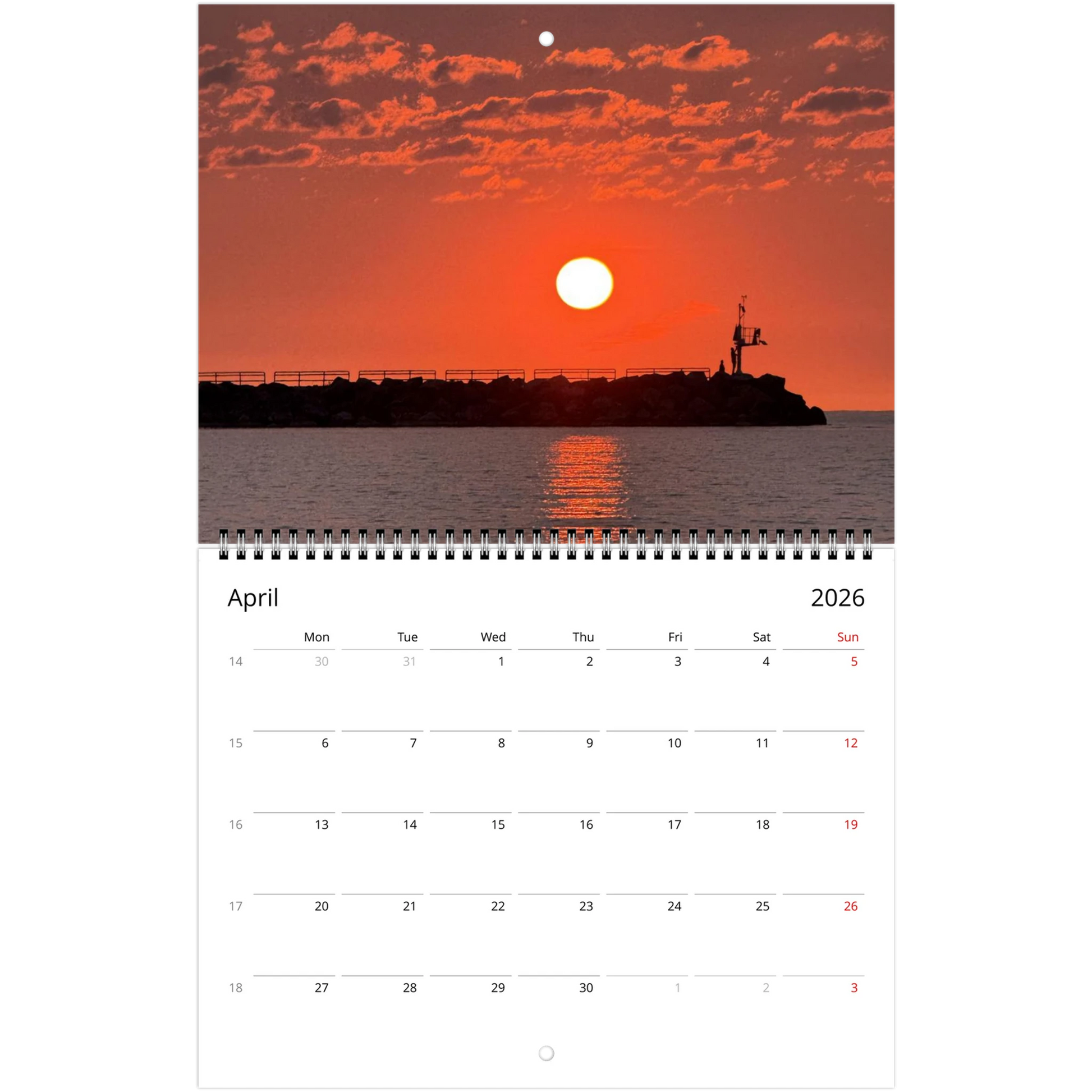 55d4b76a-519b-4707-b3cb-501acee1b73a