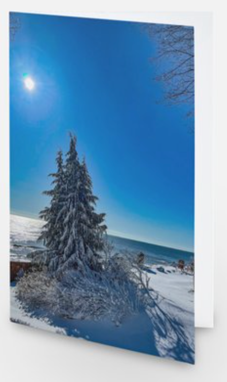 Natures Christmas Tree  Notecard