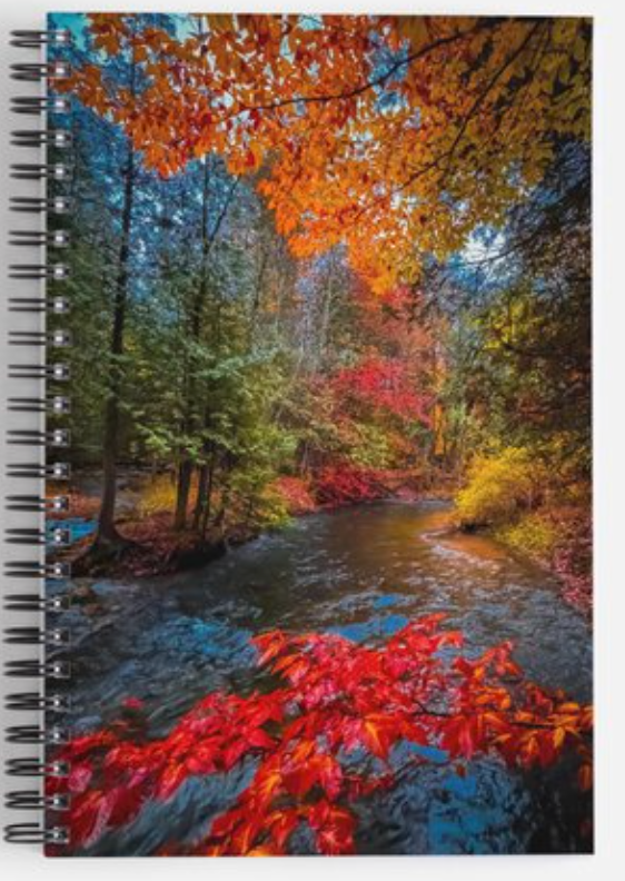 Fall by A River  Journal / Notebook