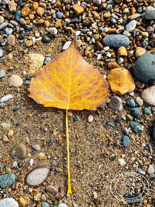 Yellow Leaf Notecard