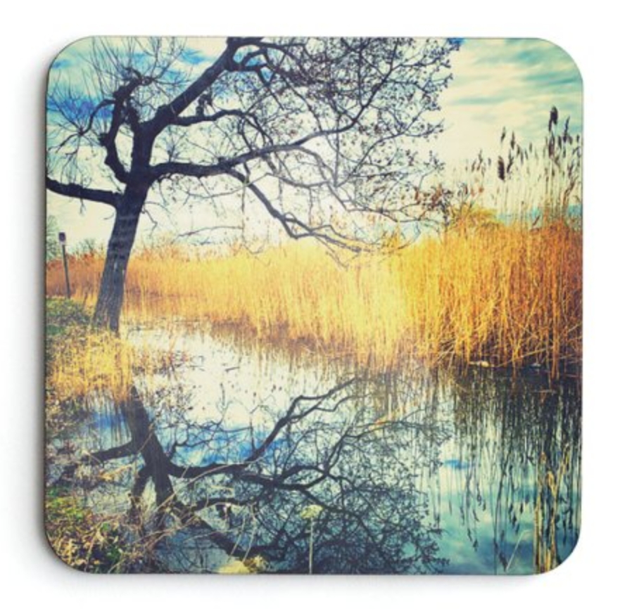 Reflections on Coasters Coasters