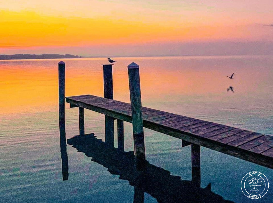 Morning by The Dock Notecard